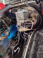 IMG_20260714_100523.jpg