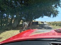 IMG_20260720_114644.jpg