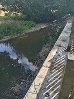 IMG_20260814_111844.jpg