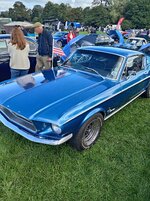 IMG_20260920_115214.jpg