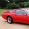 TransAm Lover