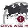 DriveWildHorses