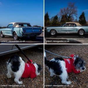 Drive N Drive at Portsmouth Truckstop February 2016