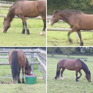 jumping and flating pics