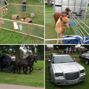 Waterlooville Jubilee Park 2018
