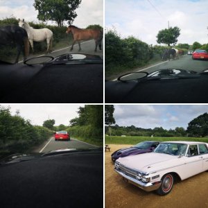 Beaulieu 2019
