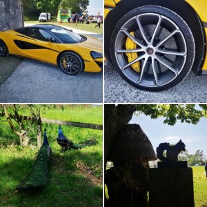 Lulworth Castle 2019