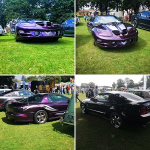 Waterlooville Jubilee Park 2019