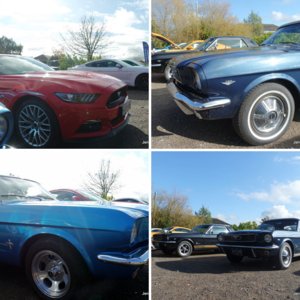 South Coast Muzzers Meet. 3rd November 2019