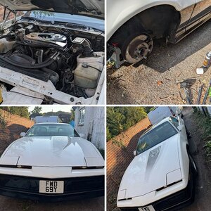 1983 Pontiac Firebird TransAm Pace car edition