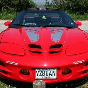 2000 trans am 800