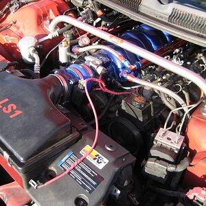 Engine bay, November 2008