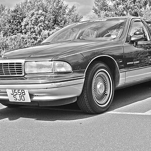 Mason's Caprice