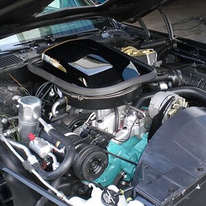 1977 trans am  motor