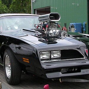 1977 trans am