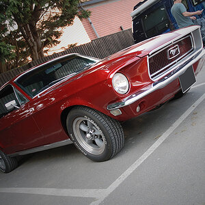 DSC 8302 RedMustang