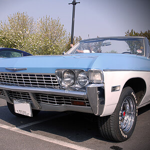 DSC 8370 Impala