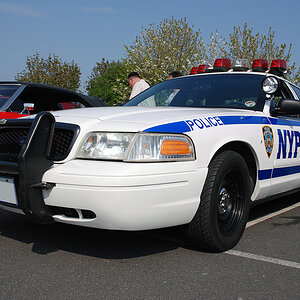 DSC 8375 PoliceCar