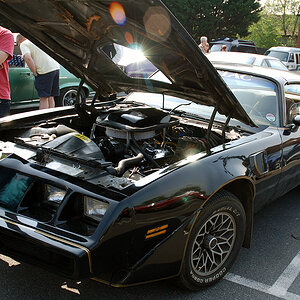 DSC 8344 TransAm