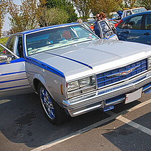 DSC 8341 Impala