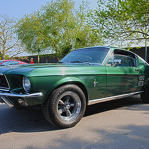 DSC 8303 GreenMustang