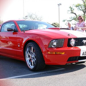Ady's Mustang