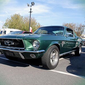 Paul & Sue's Mustang