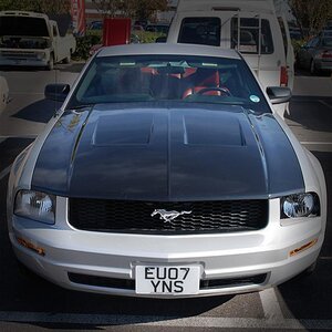 Mark's Mustang