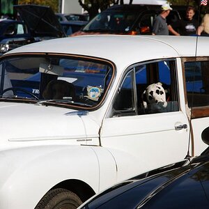 Woody Morris Minor 1000 Traveler