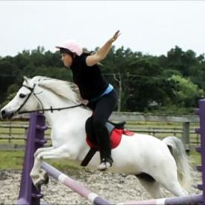 jumping a fence with no hands on the reins