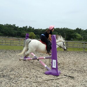 just landing after a fence