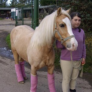 Imported Photos 00137