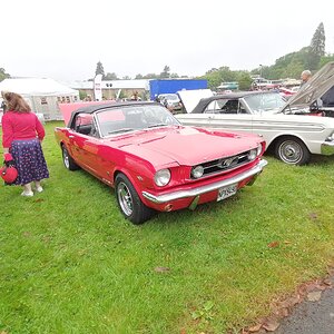 Beaulieu-20-06-21_113.jpg