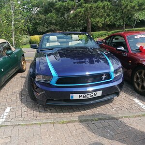 IMG_20210627_110927.jpg