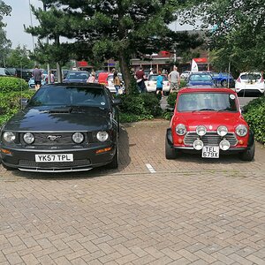 IMG_20210627_111210.jpg