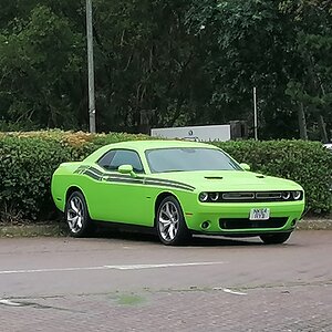 IMG_20210808_101817.jpg