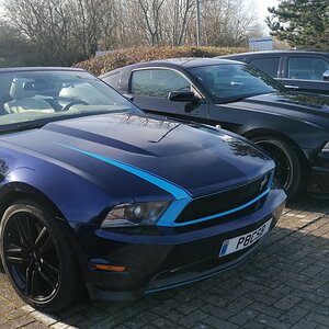 IMG_20220130_104126.jpg