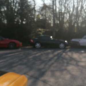 IMG_20220320_090230.jpg