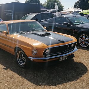 IMG_20220723_102704.jpg