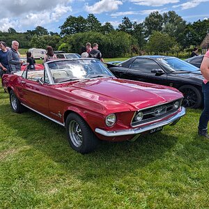 Beaulieu_June_2024_232.jpg
