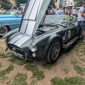 Worthing_Sunny_Sunday_2025_168.jpg