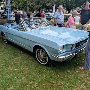 Worthing_Sunny_Sunday_2025_124.jpg