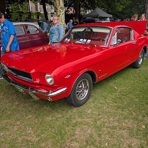 Worthing_Sunny_Sunday_2025_068.jpg