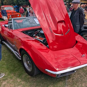 Worthing_Sunny_Sunday_2025_058.jpg