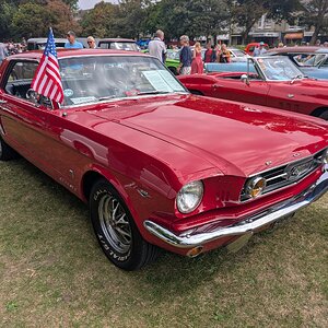 Worthing_Sunny_Sunday_2025_051.jpg