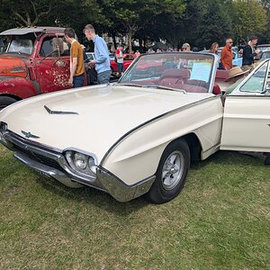 Worthing_Sunny_Sunday_2025_039.jpg