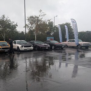 PXL_20251019_111759523.jpg