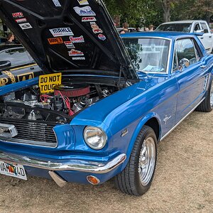 Worhing_Sunny_Sunday_2026_145.jpg