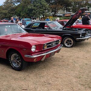 Worhing_Sunny_Sunday_2026_143.jpg