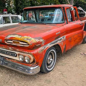 Worhing_Sunny_Sunday_2026_113.jpg